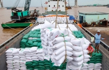Xuất khẩu gạo được khơi thông sau khi Đồng bằng sông Cửu Long nới lỏng giãn cách