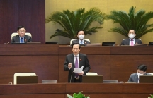 Bộ trưởng LĐ-TB&XH Đào Ngọc Dung: 'Kết dư Quỹ Bảo hiểm thất nghiệp đảm bảo an toàn'