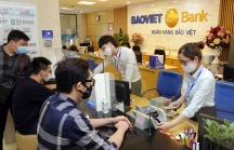 BaoVietBank báo lãi 45,7 tỷ đồng 9 tháng