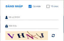 BHXH Việt Nam triển khai hình thức cấp lại mật khẩu ứng dụng VssID  miễn phí qua email cá nhân của người dùng