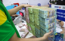 Yuanta Việt Nam: Tập trung vào ngân hàng có tỷ lệ bao phủ nợ xấu cao