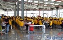 Sản xuất công nghiệp của Nghệ An vẫn tăng trưởng trong mùa dịch
