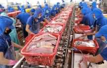 Kim ngạch xuất khẩu thủy sản của Việt Nam dự kiến cán đích 8,67 tỷ USD