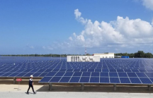 Hoàn Cầu Solar LA huy động 1.100 tỷ đồng trái phiếu