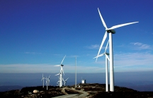 VAFIE kiến nghị nhiều cơ chế, chính sách đối với năng lượng tái tạo