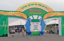 Festival lúa gạo góp phần quảng bá thương hiệu gạo Việt Nam
