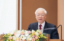 Thông điệp chỉnh đốn Đảng và ngoại giao 'cây tre Việt Nam' của Tổng Bí thư Nguyễn Phú Trọng