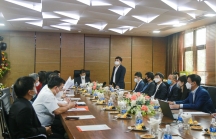 FPT đồng hành cùng Đà Nẵng phát triển công nghệ thông tin
