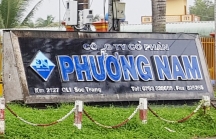 Công ty Thủy sản Phương Nam xin phá sản