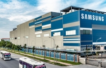 Samsung Việt Nam báo doanh thu kỷ lục
