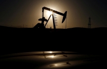 Hoa Kỳ và các đồng minh quyết định mở kho dự trữ trong bối cảnh giá dầu tăng cao