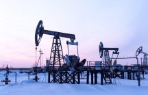 Giá dầu đứng trước nguy cơ tăng lên mức 185 USD/thùng?