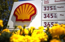 Shell tuyên bố ngừng thương vụ mua dầu của Nga