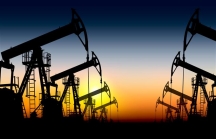 Liệu có kìm được đà tăng giá dầu?