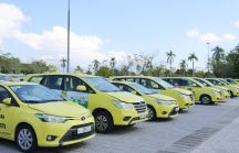 Doanh nghiệp vận tải du lịch Đà Nẵng 'méo mặt' vì giá xăng dầu leo thang