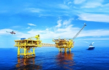 Lọc tìm cổ phiếu dầu khí tiềm năng