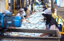 Giá dầu tăng tác động đến ngành nhựa Indonesia