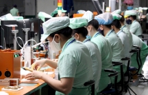 F0 tăng nhanh, doanh nghiệp Đà Nẵng xoay xở duy trì sản xuất