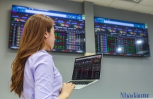 Thị trường chứng khoán thận trọng với sự kiện Tân Hoàng Minh