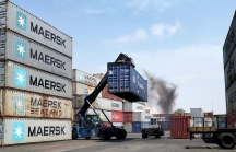 Doanh nghiệp xuất khẩu trầy trật đặt container đóng hàng