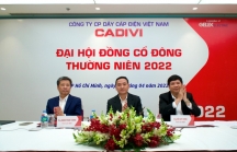 Ông Nguyễn Văn Tuấn tái đắc cử Chủ tịch CADIVI