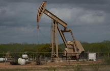 Mỹ kích hoạt lại hoạt động khai thác dầu khí trên đất công