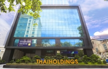 Vốn hóa Thaiholdings 'bốc hơi' 55.000 tỷ đồng từ đầu năm