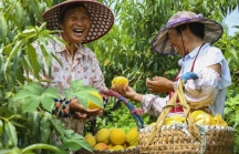 Học giả Việt Nam: Trung Quốc thúc đẩy chấn hưng nông thôn theo quan điểm phát triển 'lấy nhân dân làm trung tâm'