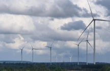 Nhiều dự án điện gió ở Gia Lai chưa thể vận hành thương mại