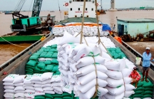 Xuất khẩu gạo tăng mạnh trong tháng 5, đạt mức 800.000 tấn