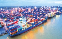 Dự án Cảng container 3.600 tỷ của Long Sơn ở Thanh Hóa giờ ra sao?