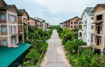 Cận cảnh 'rừng' biệt thự bỏ hoang trong khu đô thị sinh thái 2.800 tỷ ở Hà Nội