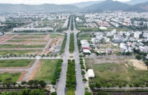 Lãng phí tài nguyên đất vì dự án treo ở Đà Nẵng