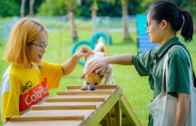 Một người Mỹ tài trợ cho công viên đầu tiên cho cún cưng ở Hà Nội