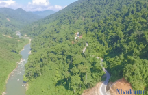 Bộ NN&PTNT nói gì về việc Quảng Nam xin chuyển hơn 25ha rừng để làm đường giao thông?
