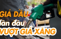[Infographic] Giá dầu lần đầu tăng vượt giá xăng