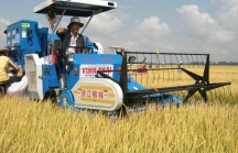 Thị trường cơ khí nông nghiệp Việt Nam hấp dẫn nhưng đang thuộc về ai?