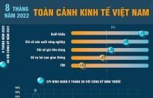 [Infographics] Kinh tế Việt Nam tiếp tục khởi sắc trong 8 tháng qua