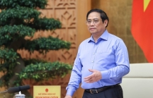 Thủ tướng: Thúc đẩy tăng cường kết nối giữa doanh nghiệp FDI và doanh nghiệp Việt Nam