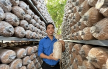 Bình Định 'gỡ' rào cản về vốn cho doanh nghiệp khởi nghiệp