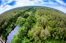 Đồng bằng sông Cửu Long sẽ có khu du lịch sinh thái đúng tầm khu vực