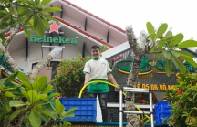 Nhà hàng, khách sạn ven biển Đà Nẵng dọn dẹp, chằng chống trước bão Noru