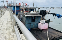 Sớm đưa các dự án hạ tầng nghề cá Thừa Thiên Huế vào hoạt động