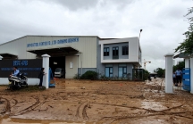 Doanh nghiệp ở Đà Nẵng ngừng sản xuất khắc phục thiệt hại do mưa lũ