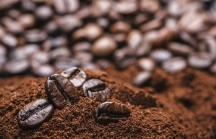 Xuất khẩu cà phê sang Tây Ban Nha tăng trưởng 2 con số trong 9 tháng đầu năm 2022