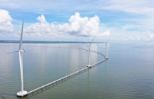 Vì sao nhà đầu tư dự án điện gió Phú Cường (Sóc Trăng) không được phép đo gió?