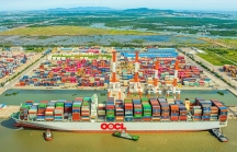Yếu tố nào giúp xuất khẩu hàng hóa tăng trưởng mạnh trong 10 tháng qua?