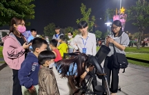 Bình Định 'tung chiêu' thúc đẩy kinh tế đêm, hút khách mùa thấp điểm