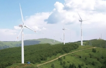 Nhiều sai phạm trong phát triển năng lượng tái tạo ở Đắk Lắk