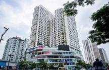 Hà Nội không cho phép các nhà đầu tư chung cư vi phạm nghiêm trọng tham gia dự án mới